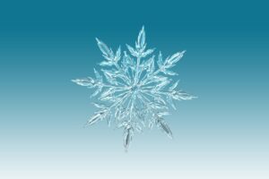 ice crystal, crystal, snowflake